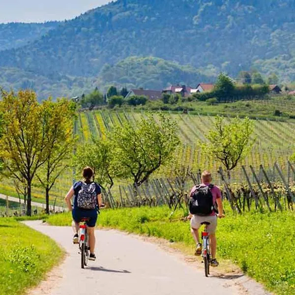 Residenza Ilde Bed & Breakfast Verucchio