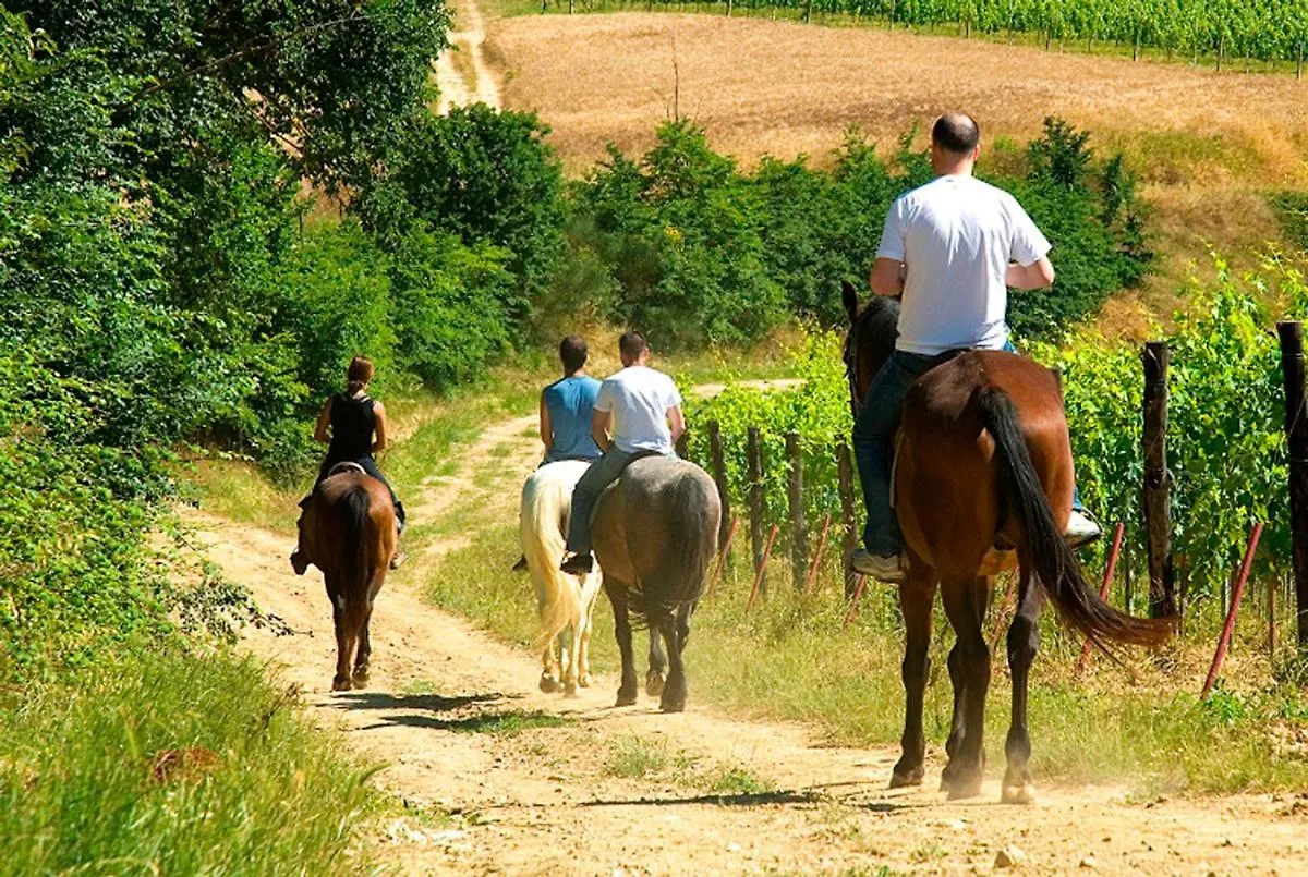 Residenza Ilde Bed & Breakfast Verucchio